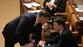 3. schůze Poslanecké sněmovny: Petr Macinka