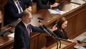 3. schůze Poslanecké sněmovny: Petr Fiala