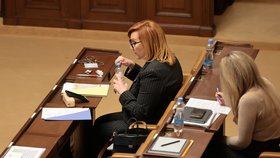 3. schůze Poslanecké sněmovny: Alena Schillerová