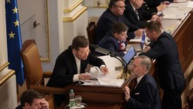 3. schůze Poslanecké sněmovny: Tomio Okamura a Petr Fiala