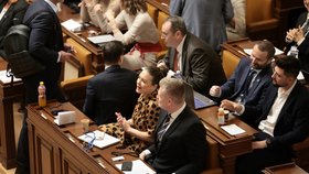 3. schůze Poslanecké sněmovny: Filip Turek a Gabriela Sedláčková