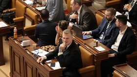 3. schůze Poslanecké sněmovny: Filip Turek a Gabriela Sedláčková