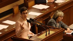 Ustavující schůze nové Sněmovny: Olga Richterová (5.11.2025)