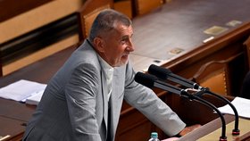 Projednávání vládního úsporného balíčku v Poslanecké sněmovně: Andrej Babiš. (11.7.2023)
