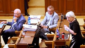 Projednávání vládního úsporného balíčku v Poslanecké sněmovně. (11.7.2023)