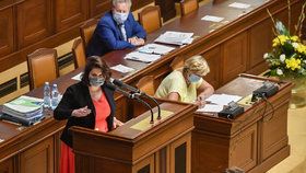 Ministryně práce a sociálních věcí Jana Maláčová na schůzi Poslanecké sněmovny (15. 9. 2020)