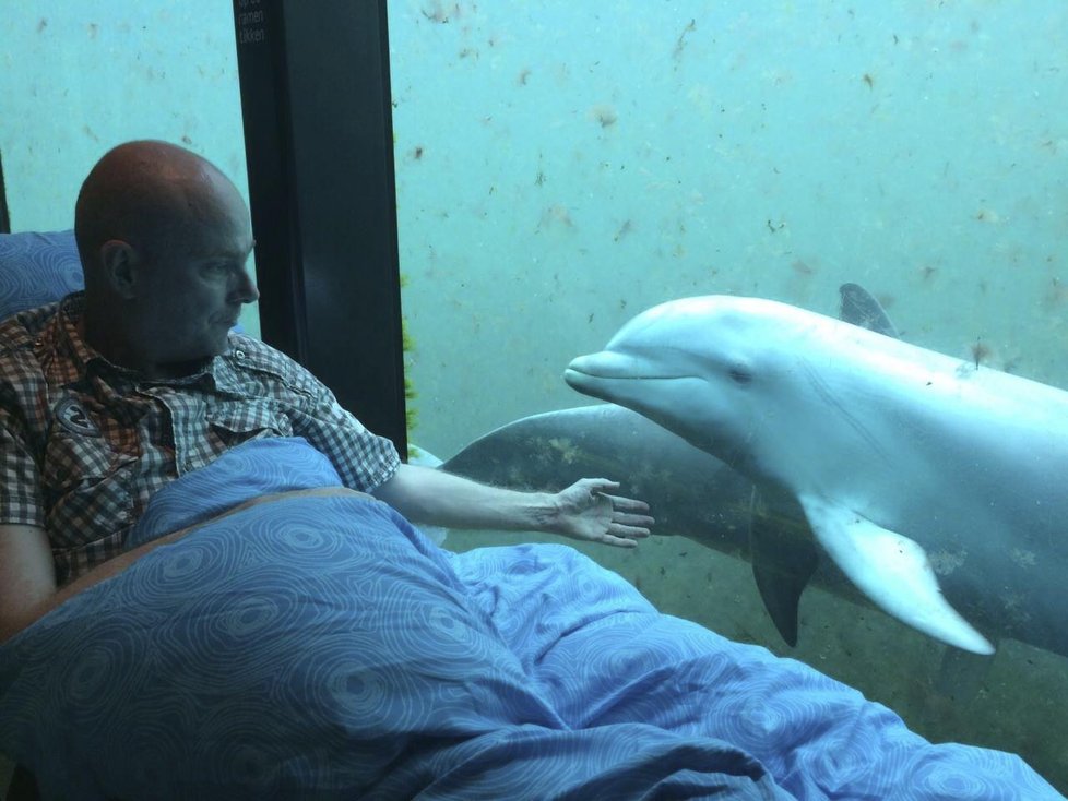 Tento muž chtěl naposledy v životě vidět delfína.
