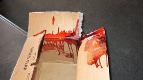 Z balíčku na poště tekla krev! (ilustrační foto)