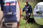 Po muži, který uloupil pošťačce tašku, pátrá policejní helikoptéra i psovodi