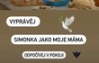 Jana Bernášková Jana Bernášková