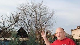 Vlastimil Vavřina ukázal strom na sousedově pozemku, na kterém potkani seděli
