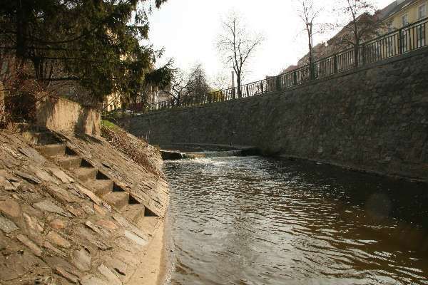 Nutrie se vyskytují také v Rokytce.