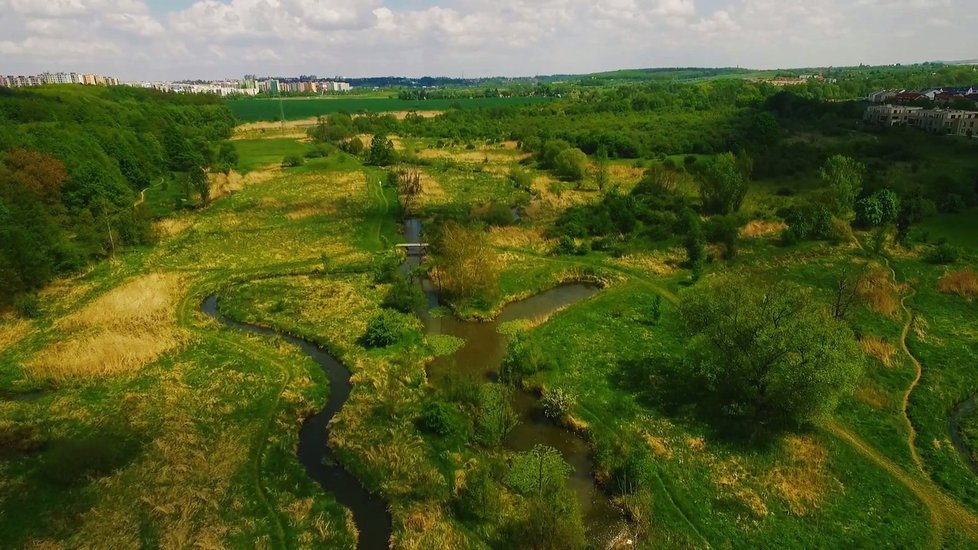 Zelené plochy pomáhají v Praze regulovat míru znečištění. (ilustrační foto)