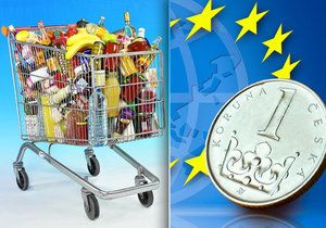 Zajímá Vás, jaké jsou ceny potravin v Česku v porovnání s Evropskou unií?