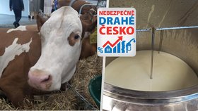 České mlékárny se bojí o svou existenci. A zdražování bude pokračovat. Bude ceny diktovat zahraničí?