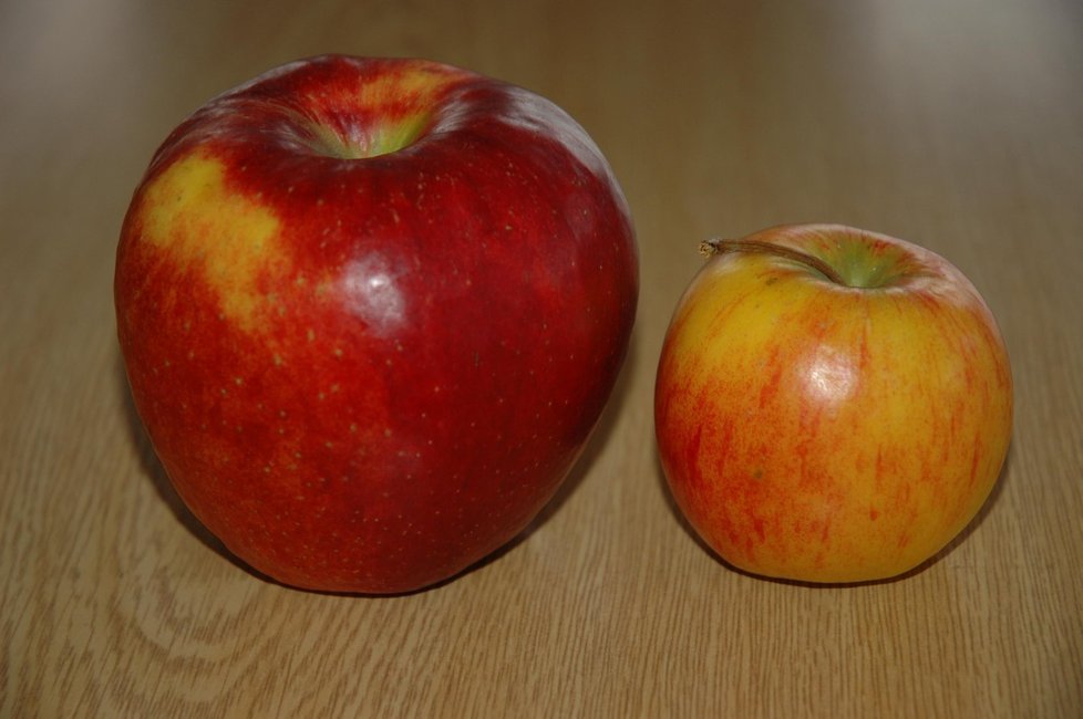 Zejména citrusy jsou v Evropě plné pesticidů, který může dětem poškodit mozek.