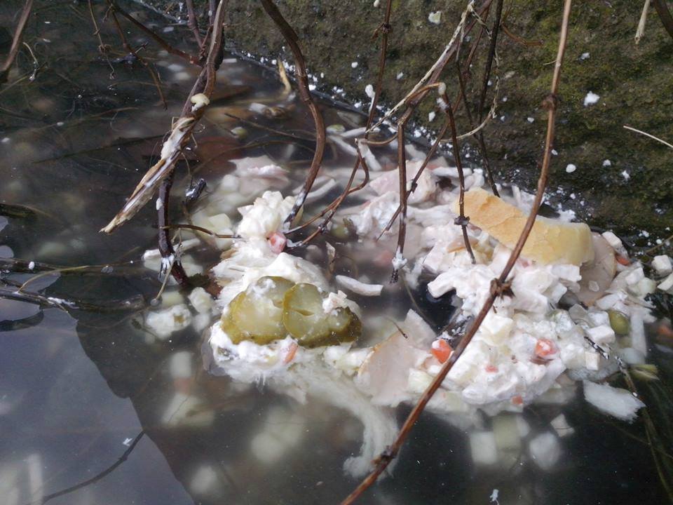 ve vodě rybníka se objevil i přebytečný bramborový salát.