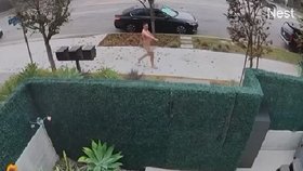 Zmatený nahý muž ohrožoval okolí.