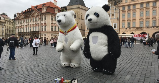 Konec pand v Praze. Magistrát zakázal žebrání v kostýmech přerostlých zvířat i obří bublifuky