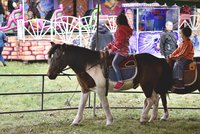 Konec poníků na Matějské pouti: Kočkovi vyšli vstříc ochráncům zvířat, atrakci zrušili