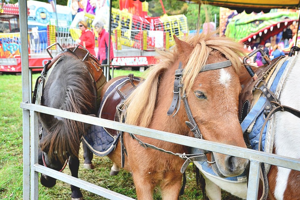 Pouť u břevnovského kláštera patřila den před oficiálním otevřením dětem s handicapem.