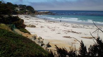 Big Sur: Klenot pobřeží, kde Kalifornie ukazuje svou nejdivočejší tvář Big Sur: Klenot pobřeží, kde Kalifornie ukazuje svou nejdivočejší tvář