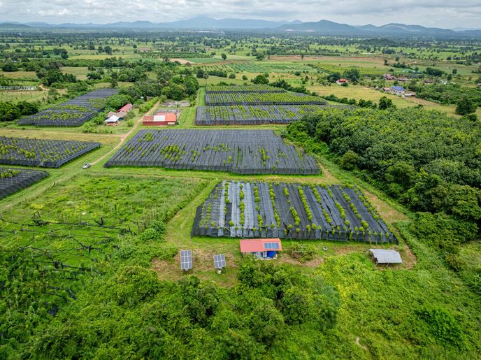 Kampotský pepř dostal své jméno po provincii Kampot v jižní Kambodži. Kampotský pepř dostal své jméno po provincii Kampot v jižní Kambodži.