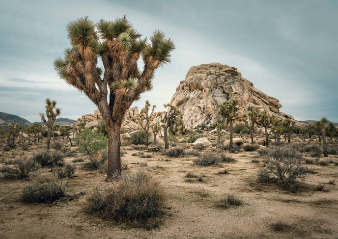 Hidden Valley v Národním parku Joshua Tree Hidden Valley v Národním parku Joshua Tree