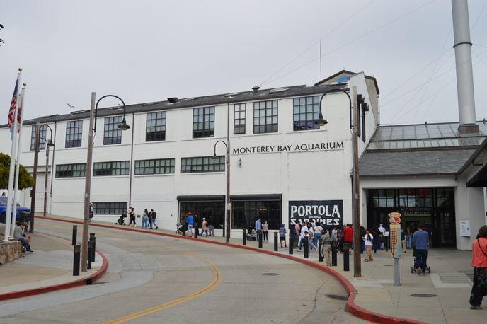 Pokud dorazíte až do Monterey, navštivte světoznámé akvárium. Pokud dorazíte až do Monterey, navštivte světoznámé akvárium.