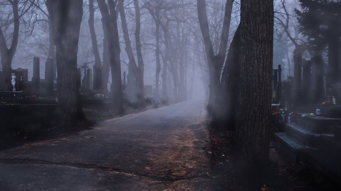 Olšanské hřbitovy vystupující z mlhy Olšanské hřbitovy vystupující z mlhy
