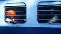 Vlaky v Asii. Fotografie z knihy Jana Schlindenbucha Třicet chutí Asie Vlaky v Asii. Fotografie z knihy Jana Schlindenbucha Třicet chutí Asie