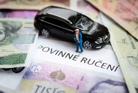 Čeští šoféři si připlatí: Povinné ručení zdražilo, ceny letí nahoru v malých městech