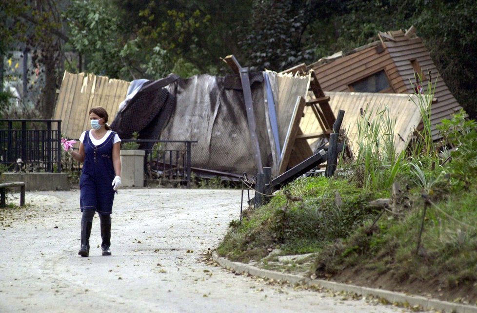 Odstraňování následků po povodni roku 2002 v Zoo Praha