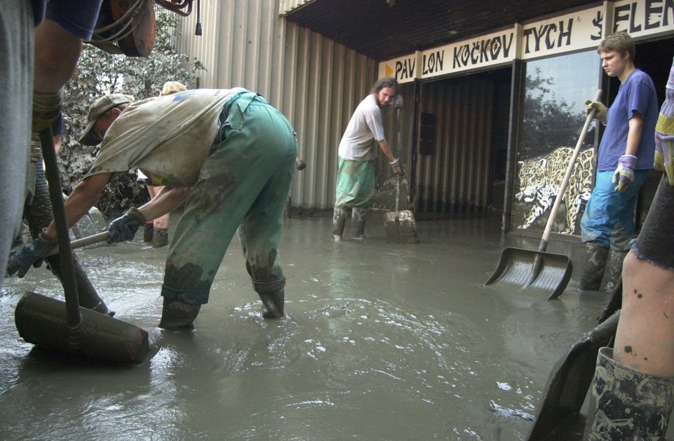 Odstraňování následků po povodni roku 2002 v Zoo Praha