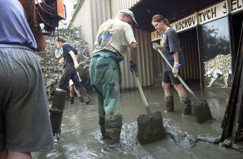 Odstraňování následků po povodni roku 2002 v Zoo Praha.