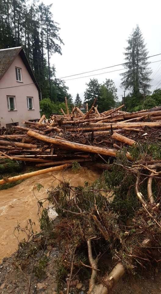 Voda splavila do Břevence lesníky uskladněné dřevo z lesa.