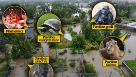Celá spodní část pražské zoo je zatopená