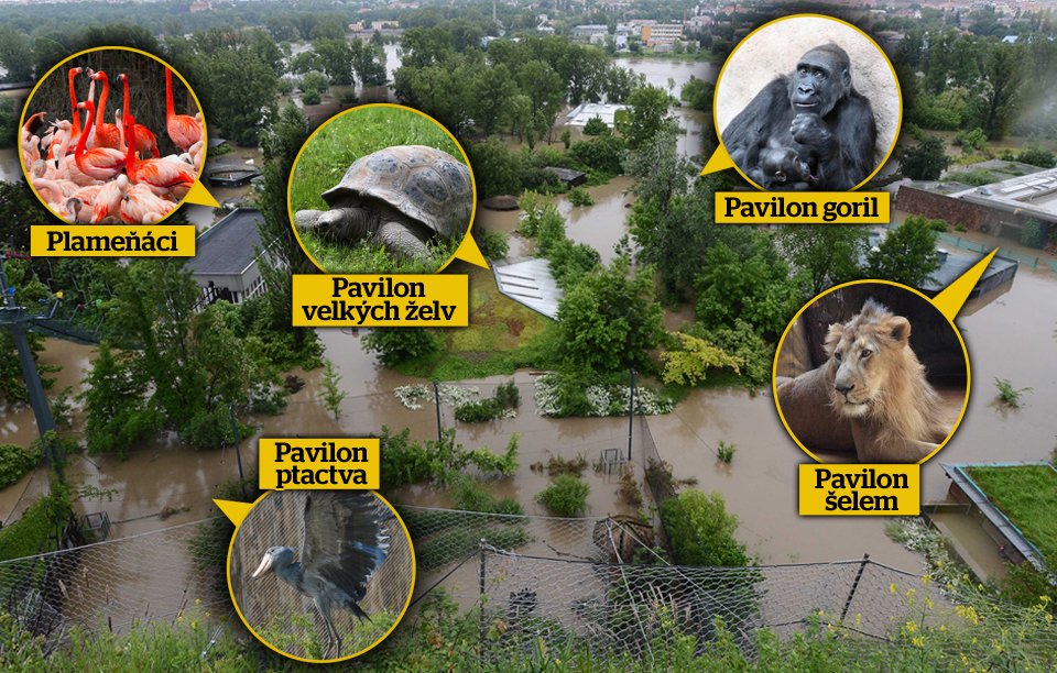 Celá spodní část pražské zoo je zatopená