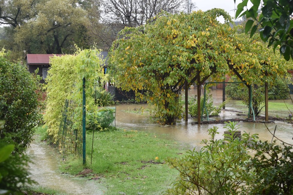 Vyplavená zahrádkářská kolonie ve Vřesině.