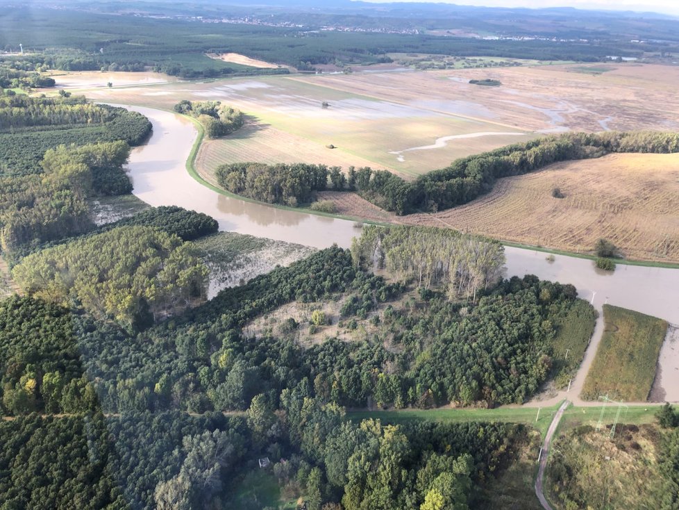 Podzim 2020: U Strážnice se řeka Morava vylila do polí a do lesů Doubravy.