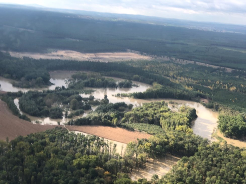 Meandrující Morava se vylila do lesů u Bzence-Přívozu.