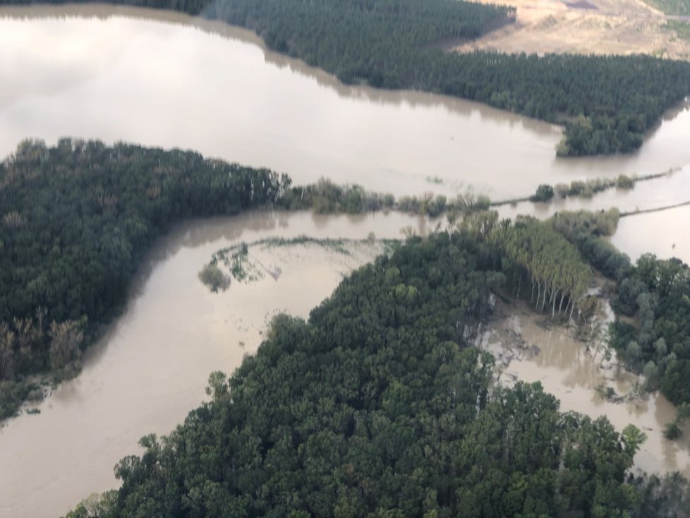 Meandrující Morava se vylila do lesů u Bzence-Přívozu.