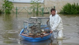 Chovatel Jiří Kozák zachraňuje exotické hady a ještěry.