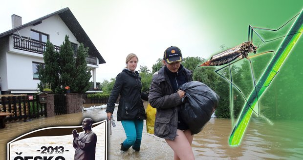 Na vytopené útočí další přírodní pohroma: Hejna komárů!