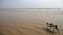 Povodně v Pákistánu očima Jana Šibíka
