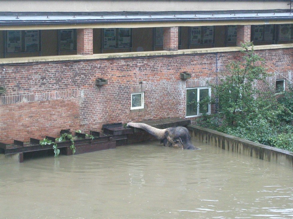 Povodně 2002: Zoo Praha.