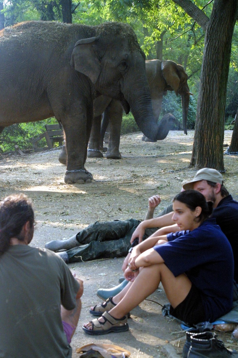 Povodně 2002: Zoo Praha.