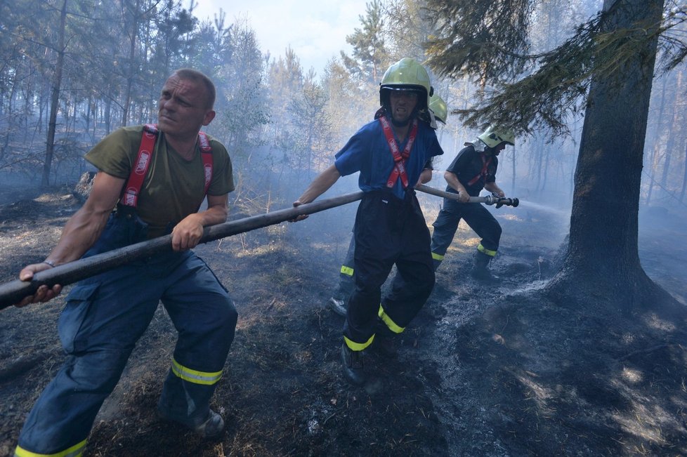 2015 - Hasiče nejvíce zaměstnávají lesní požáry.