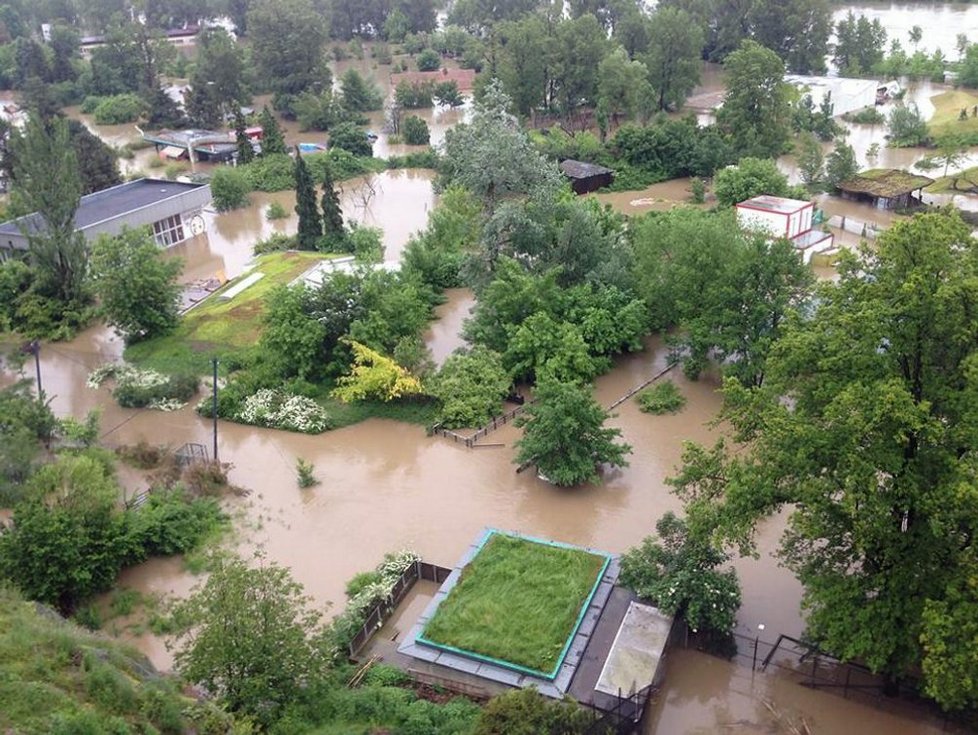 Povodňová situace v pražské zoo, jak ji zachytil její ředitel Miroslav Bobek 3. řevna časně ráno a zveřejnil na svém profilu na Facebooku.