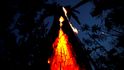 Kmen stromu pohlcen plameny při požáru v oblasti amazonského deštného pralesa v Itapua do Oeste, stát Rondonia, Brazílie, 11. září 2019.